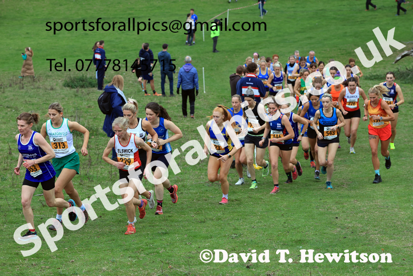 Senior Womens 2025 Start Fitness NEHL, Thornley Hall Farm, Peterlee, County Durham. Photo: David T. Hewitson/Sports for All Pics